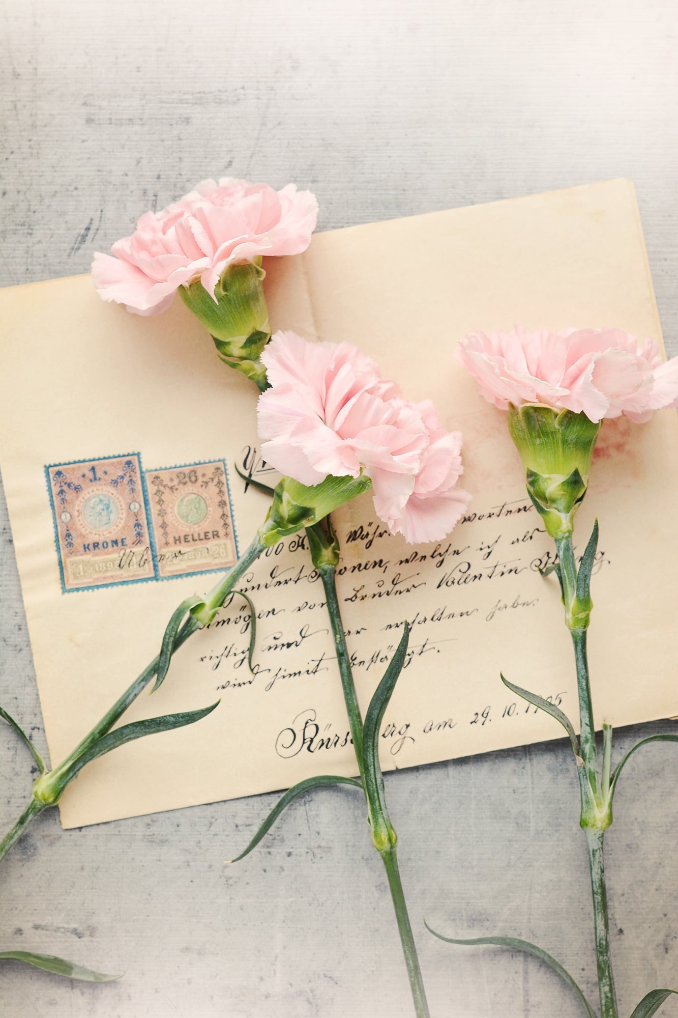 floral-designer_3_asesi